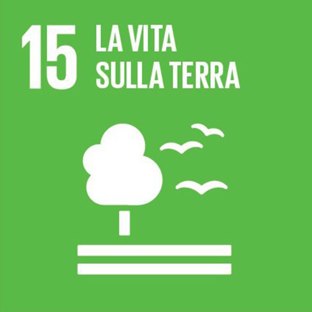 agenda-2030-sviluppo-sostenibile-vita-terra-obiettivo15